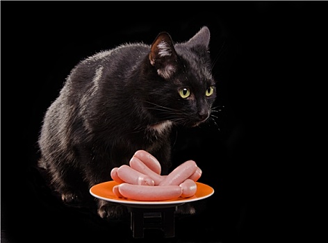 黑猫,盘子,生食,香肠,黑色背景