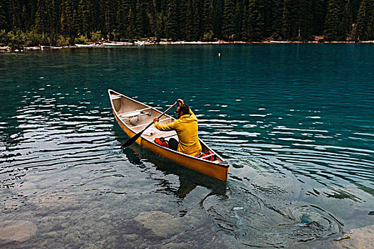 俯拍,后视图,中年,男人,划船,独木舟,冰碛湖,班芙国家公园,艾伯塔省,加拿大