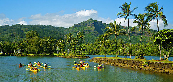 夏威夷,考艾岛,威陆亚,河,漂流,探险