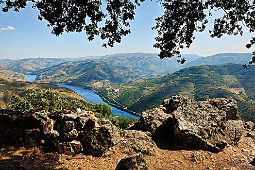 杜罗河,欧洲,河,风景,上面,山,世界遗产,葡萄牙