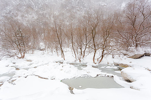 秦岭沣峪河冬天雪景