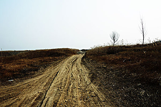 乡野土路