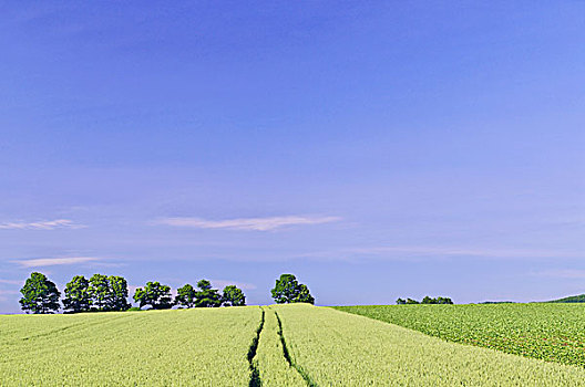 山,风景,道路