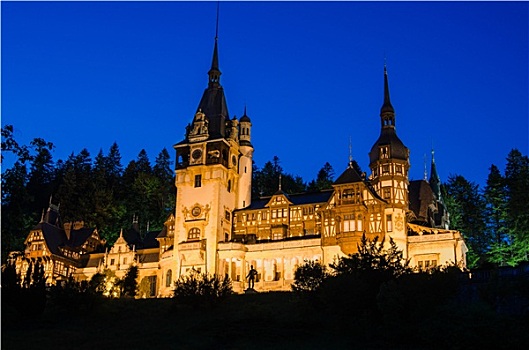 夜景,城堡,罗马尼亚,地标