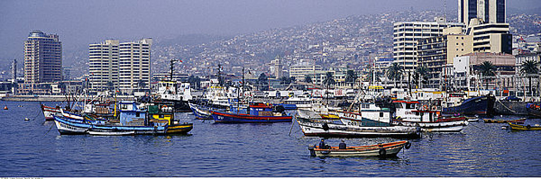 渔船,港口,瓦尔帕莱索,智利