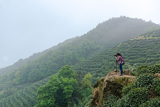 茶山风光摄影