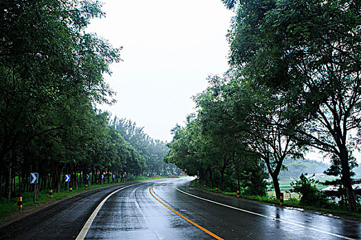 北京永定河左堤路,雨后路面