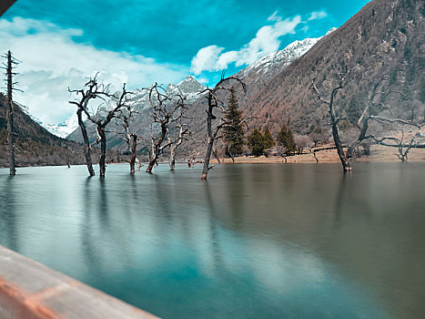 雪山下的河流