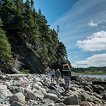 旅游,岩石海岸,格罗莫讷国家公园,纽芬兰,拉布拉多犬,加拿大
