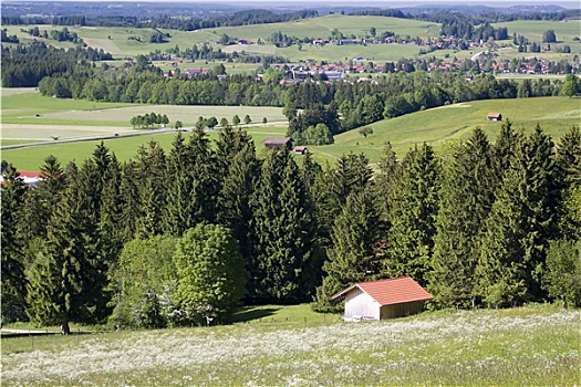 漂亮,乡村,风景,巴伐利亚