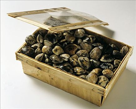 蛤,木盒