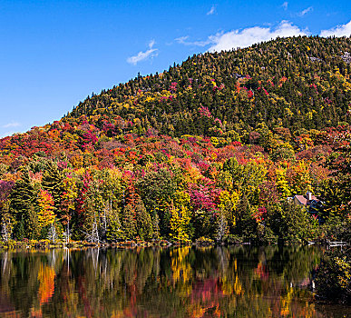 秋天,研钵体,水塘,山,彩色,改变,东方镇,魁北克,加拿大,北美