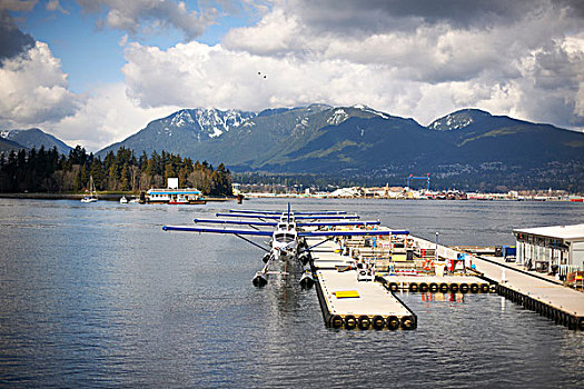 水上飞机,港口,温哥华,加拿大