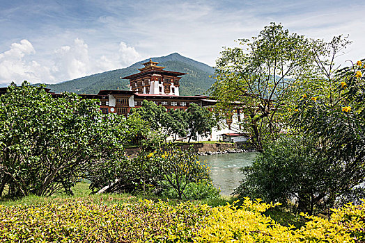 普那卡宗,普那卡,不丹