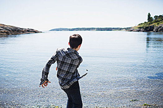 男孩,石头,水,维多利亚,不列颠哥伦比亚省,加拿大