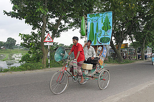 一个,男人,销售,种子,人力车,孟加拉,八月,2008年