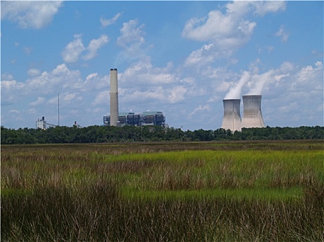 核电站,靠近,佛罗里达,湿地