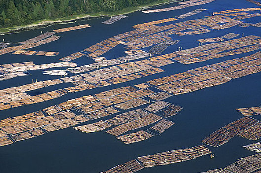 加拿大,不列颠哥伦比亚省,靠近,温哥华,海岸,原木,筏子,伐木