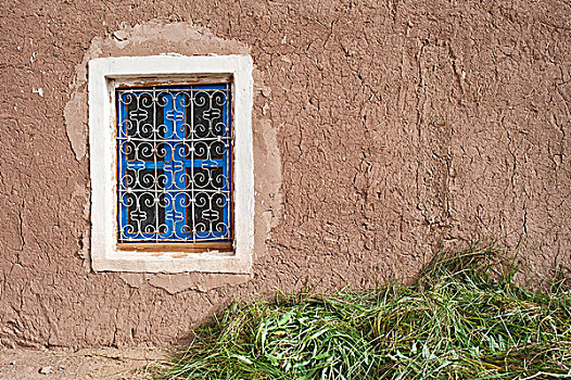 建筑,房子,泥,砖,蓝色,阻挡,窗户,绿色,地面,宠物,阿特拉斯山区,摩洛哥,非洲