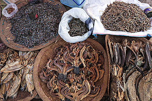 干燥,鱼肉,市场,茵莱湖,掸邦,缅甸,亚洲