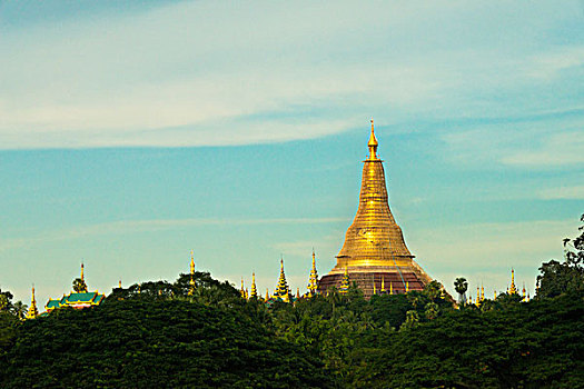 大金塔,仰光,缅甸,大幅,尺寸