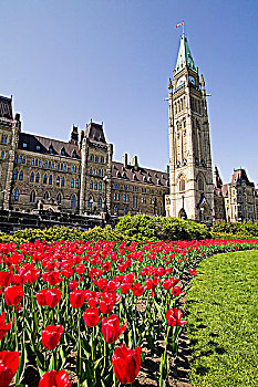 国会大厦,渥太华,安大略省,加拿大