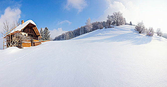 山,农舍,冬天,萨尔茨堡州,奥地利