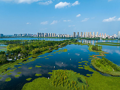 2022年8月1日,江苏省连云港市东海县西双湖风景区,郁郁葱葱,岸绿水清,天蓝景美,构成了一幅优美的夏日美景图,成为了市民休闲纳凉好去处