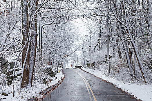 美国,马萨诸塞,早,雪,乡间小路