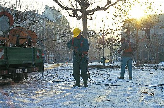 工人,切,枝条,悬铃木,冬天,德国,欧洲