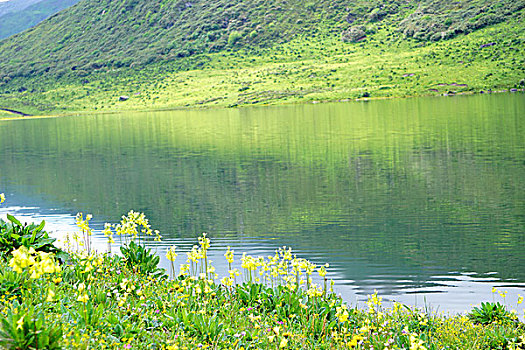 川西九顶山的花海,高山海子