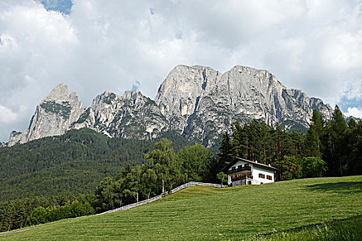 山,草地