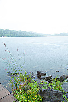 北海道夏季