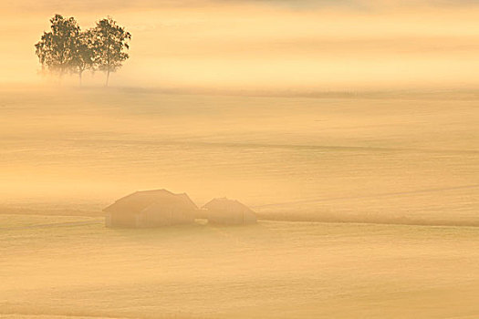 风景,靠近,德国