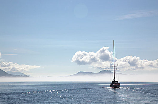 帆船,晴天,海湾群岛,不列颠哥伦比亚省,加拿大