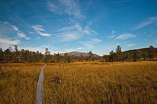 徒步旅行,国家公园,挪威,欧洲