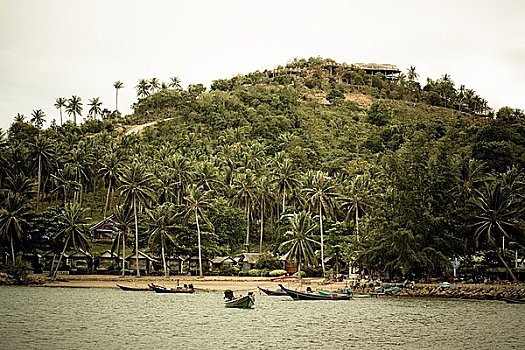 船,海岸,苏梅岛,泰国