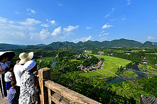 贵州遵义,大地披金满目秋,田园风光入画来