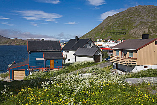 房子,霍宁斯沃格,港口,岛屿,区域,北冰洋,挪威,斯堪的纳维亚