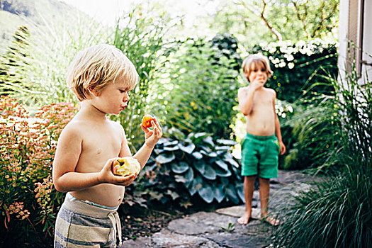 男孩,花园,小路,吃,苹果,橘子,布鲁登茨,奥地利
