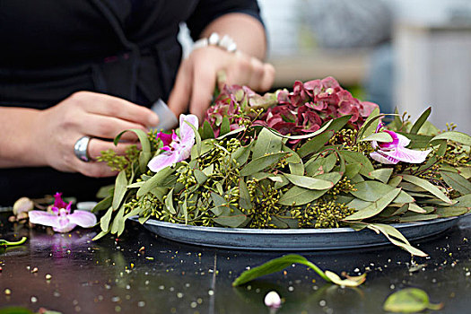 制作,夏日插花,八仙花属,兰花,桉树