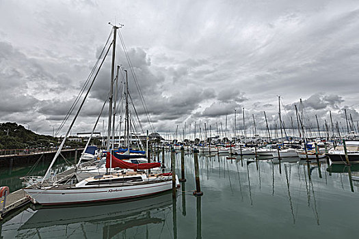 新西兰奥克兰帆船港口