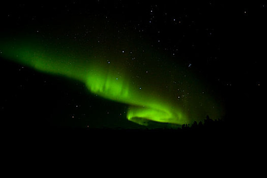 北极光,极光,绿色,螺旋,靠近,怀特霍斯,育空地区,加拿大