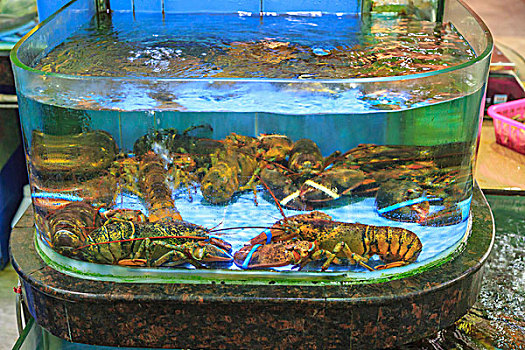 龙虾,生活方式,海鲜,餐馆,广州