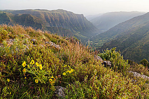 风景,山,国家公园,埃塞俄比亚