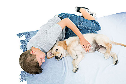 男孩,卧,小狗,毯子,上方,白色背景