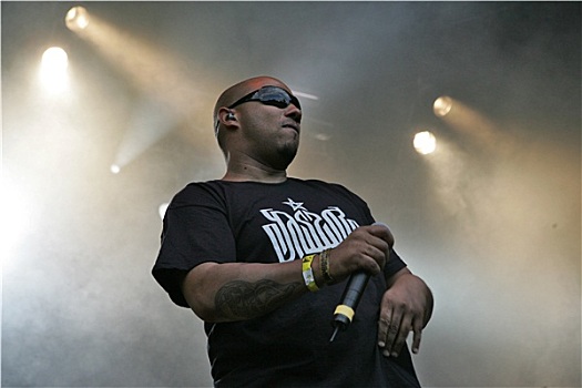 炸药,豪华,嘻哈,2008年