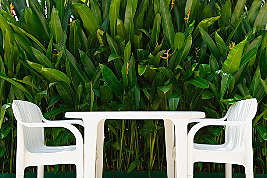 白色,花园椅,桌子