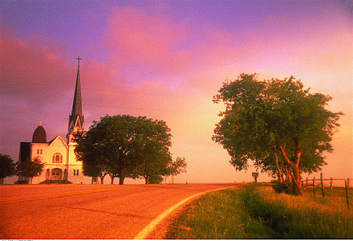教堂,树,日落,德克萨斯,美国