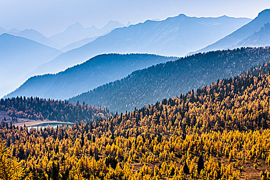 山脉,远景,秋天的落叶,从,岩石,岛,步道,阳光牧场,省立公园,英属哥伦比亚大学,加拿大